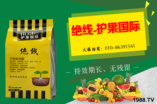 �Ә����L�l������Щ���Ә�����������g(sh��)��