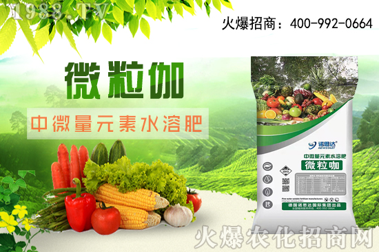 ����ԓ��ô��������������r�g������ע��Ҫ�c��