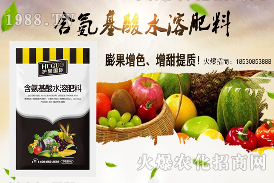 �|���m����ʲô����(ji��)�������|������M�зNֲ��