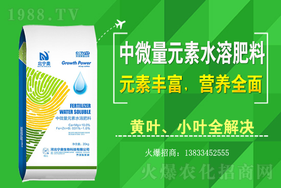 �S����ԓ��ô�Nֲ���S���˷Nֲ�^����ע����Щ���}��