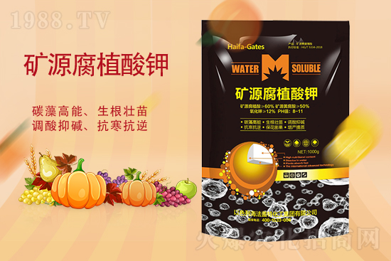 ⛷ʈ�(b��o)�r(ji��)��2021��10��23��⛷ʃr(ji��)������