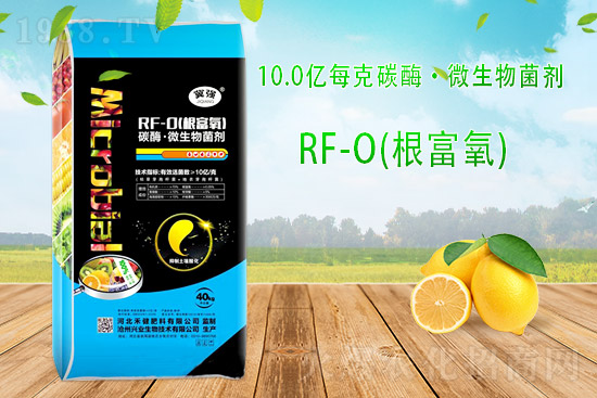 �ͺϷʳ��S��r��10��23�ՏͺϷʃr������