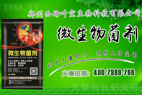 �����m��¶��������߲�Ʒ�N����Щ������Щ�Nֲע�����(xi��ng)��