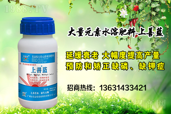 �V���������r(n��ng)�ٶȔy��1988.TV���y�ֹ���(chu��ng)��(zh��n)����