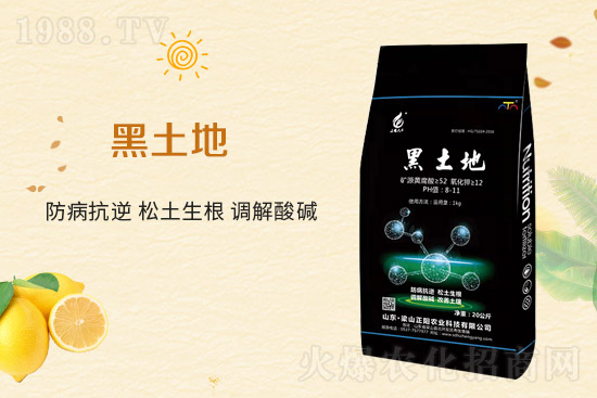 ��ɽ���(y��ng)�r(n��ng)�I(y��)�Ƽ����޹�˾1