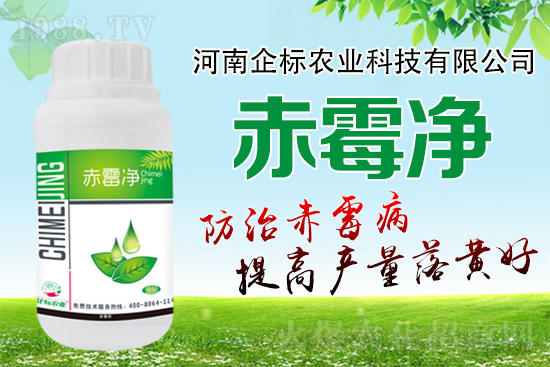 �o�����ѣ�δ��ʮ����С����ù�������P(gu��n)�I������(w��)��ץס��