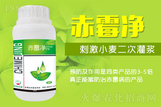 �o�����ѣ�δ��ʮ����С����ù�������P(gu��n)�I������(w��)��ץ����