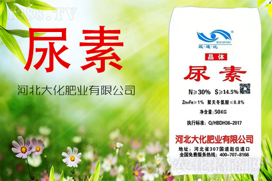 ���ص����ܲ������~�������ô����