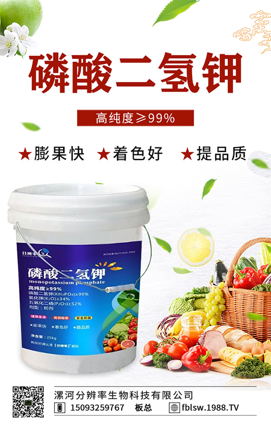 �~��ʵć�ʩ�`�^(q��)���@���c�e������