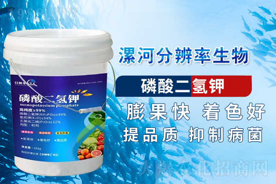 �~��ʵć�ʩ�`�^(q��)���@���c�e������