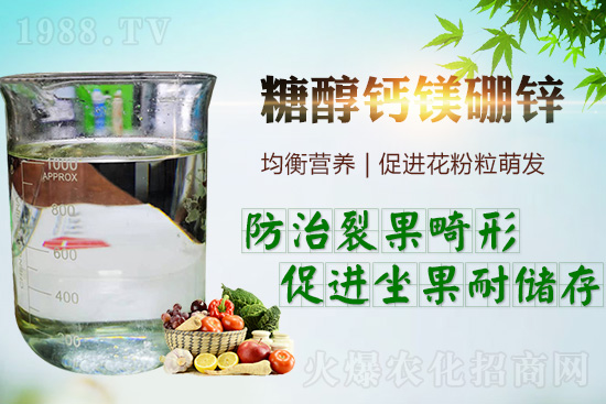     �����_(k��i)���������ж���Ҫ���_(k��i)�������ڵ����c(di��n)��������