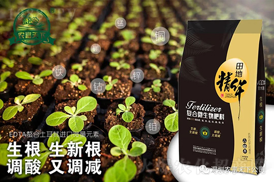 西瓜裂瓜怎么預(yù)防?了解這些西瓜滾滾品質(zhì)高!