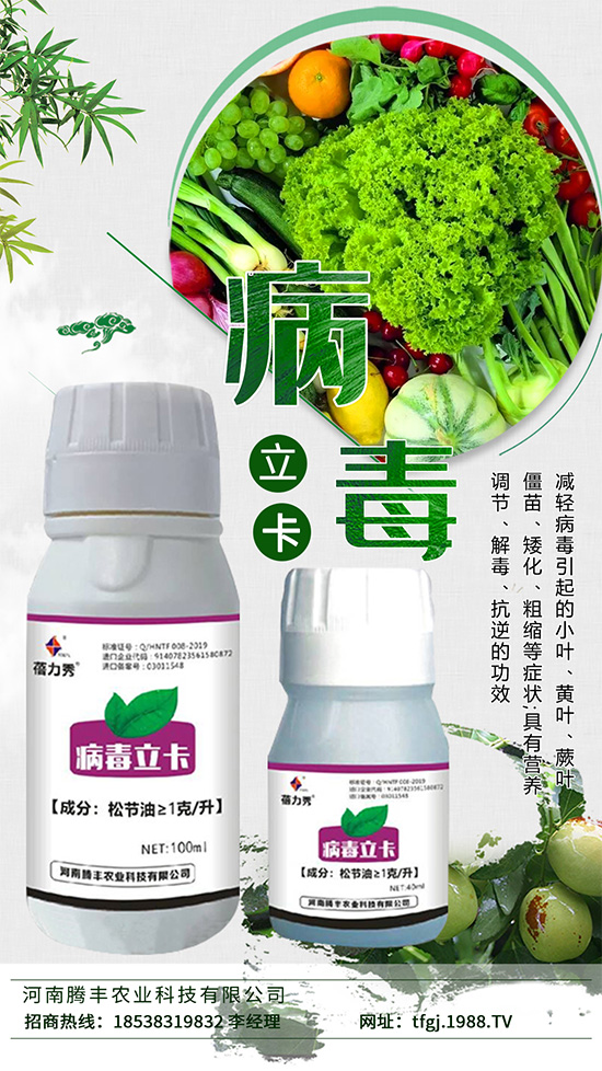     ������һ�N����ֲ�ﲡ����������Ĳ������N�����Σ�������׵��y��������Ⱦ�߲�ֲ�����c�߲ˠ��Z���L������B(y��ng)����ͬ�r��Ӱ�ֲ����B(y��ng)�ւ�ݔ�����ƹ�����õ��M(j��n)��