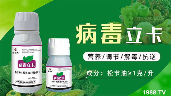 �ƽ�ֲ�ﲡ�������y�}�����ٻ֏�(f��)���C���@��ˎ���Ͼ͹�����