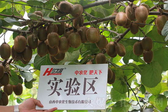 �J����������c(di��n)����Щ���J����������ôʩ