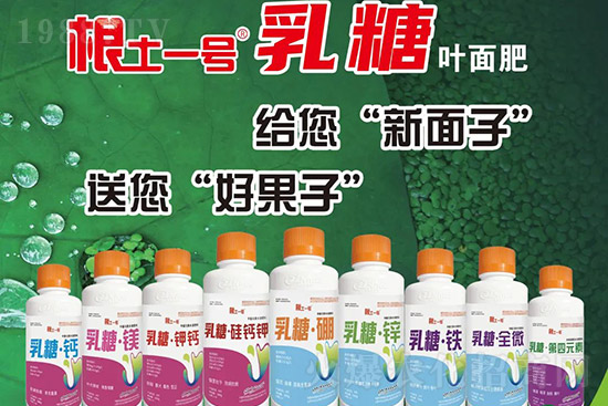 �J����������c(di��n)����Щ���J����������ôʩ