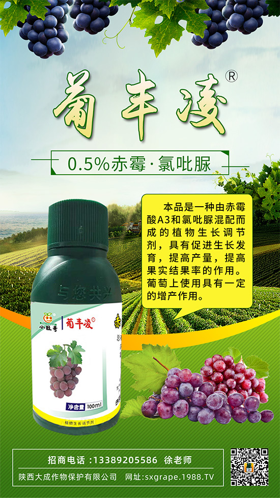 ���ѹ���ϡ������С��������ô�k���@Щ�����ஔ��Ҫ