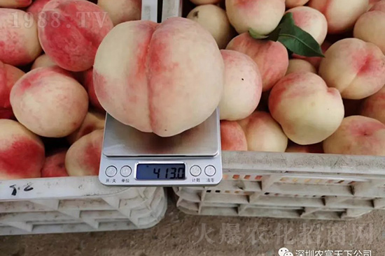 �Ҙ�(sh��)�����ô�k���Ҙ�(sh��)���ԭ���A(y��)������