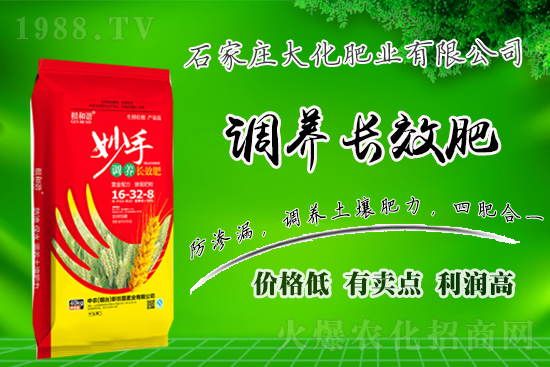 ��(zh��n)�Ժ���������(j��)��ʯ���f�󻯷ʘI(y��)�ٴκ��s1988.TV��