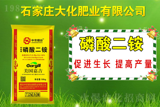 ��(zh��n)�Ժ���������(j��)��ʯ���f�󻯷ʘI(y��)�ٴκ��s1988.TV��