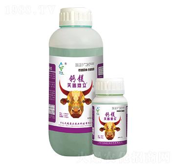 �}�V�� ���n����